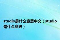 studio是什么意思中文（studio是什么意思）