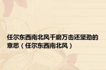 任尔东西南北风千磨万击还坚劲的意思（任尔东西南北风）