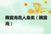 魏震海真人身高（魏震海）