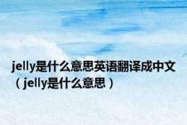 jelly是什么意思英语翻译成中文（jelly是什么意思）
