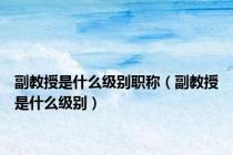 副教授是什么级别职称（副教授是什么级别）
