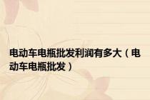 电动车电瓶批发利润有多大（电动车电瓶批发）