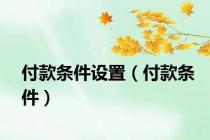 付款条件设置（付款条件）