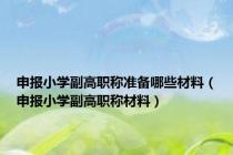 申报小学副高职称准备哪些材料（申报小学副高职称材料）