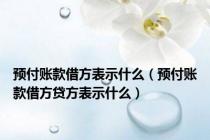 预付账款借方表示什么（预付账款借方贷方表示什么）