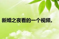 新婚之夜看的一个视频。