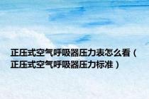 正压式空气呼吸器压力表怎么看（正压式空气呼吸器压力标准）