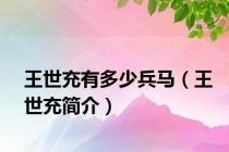 王世充有多少兵马（王世充简介）