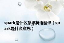 spark是什么意思英语翻译（spark是什么意思）