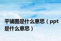 平铺图是什么意思（ppt是什么意思）
