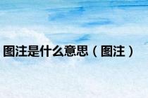 图注是什么意思（图注）