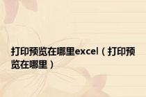 打印预览在哪里excel（打印预览在哪里）