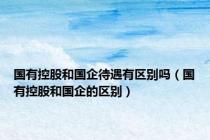国有控股和国企待遇有区别吗（国有控股和国企的区别）