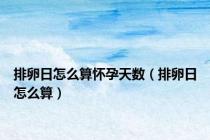 排卵日怎么算怀孕天数（排卵日怎么算）