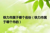铁力市属于哪个省份（铁力市属于哪个市的）