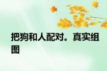 把狗和人配对。真实组图