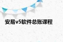 安易v5软件总账课程
