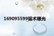 169095599骗术曝光