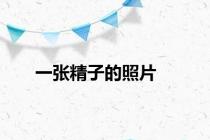 一张精子的照片