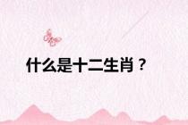 什么是十二生肖？