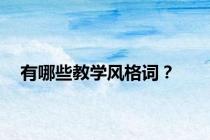 有哪些教学风格词？
