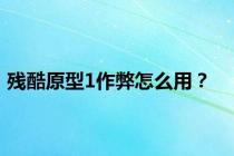 残酷原型1作弊怎么用？