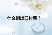 什么叫出口付费？