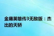 金庸英雄传3无敌版：杰出的天骄