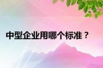 中型企业用哪个标准？