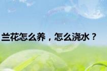 兰花怎么养，怎么浇水？