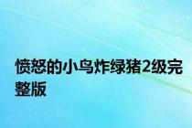 愤怒的小鸟炸绿猪2级完整版