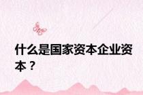什么是国家资本企业资本？