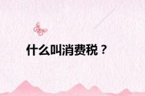 什么叫消费税？