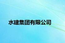 水建集团有限公司