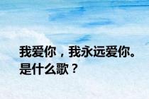我爱你，我永远爱你。是什么歌？