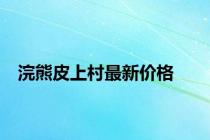 浣熊皮上村最新价格