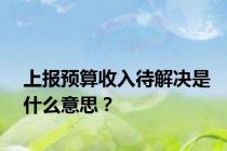 上报预算收入待解决是什么意思？