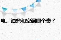 电、油鼎和空调哪个贵？