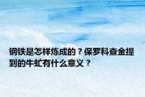 钢铁是怎样炼成的？保罗科查金提到的牛虻有什么意义？