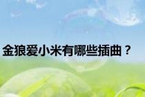 金狼爱小米有哪些插曲？