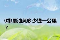 0排量油耗多少钱一公里？