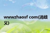 wwwzhaosf com(消歧义)