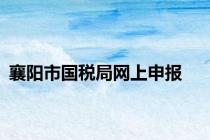 襄阳市国税局网上申报
