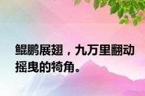 鲲鹏展翅，九万里翻动摇曳的犄角。