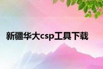新疆华大csp工具下载