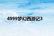 4999梦幻西游记3