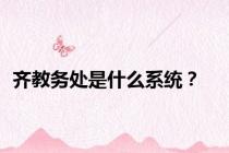 齐教务处是什么系统？
