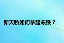 新天骄如何拿起冻铁？