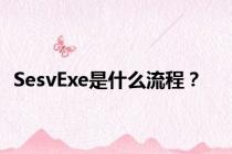 SesvExe是什么流程？