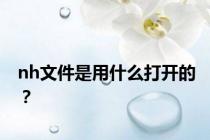 nh文件是用什么打开的？